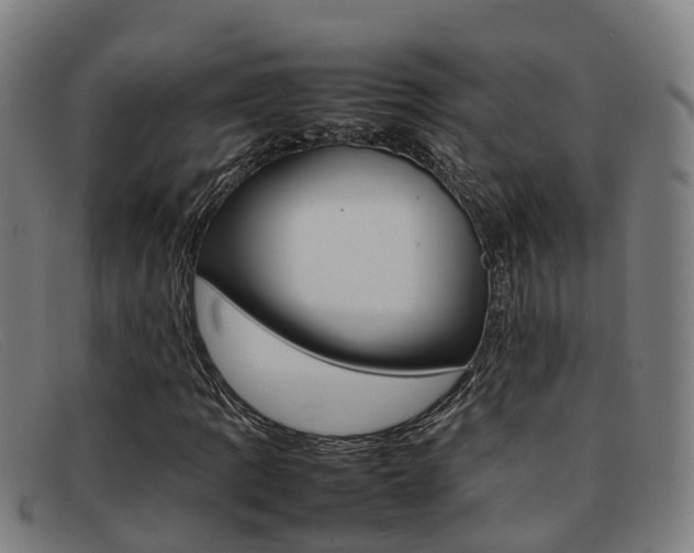 X0000092071109200709121020