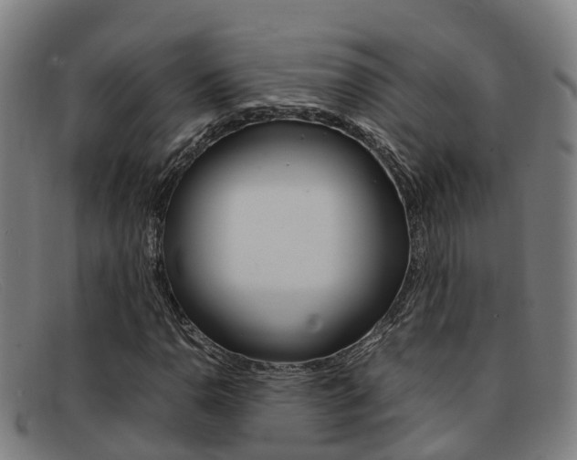 X0000092071110200709121020