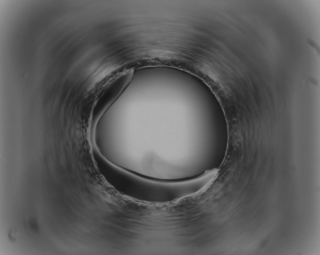 X0000092071112200709121020
