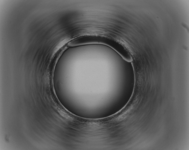 X0000092071114200709121020