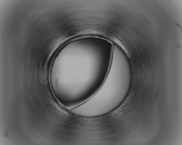 X0000092071116200709121020
