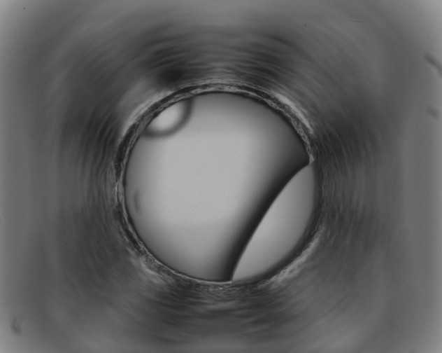 X0000092071117200709121020