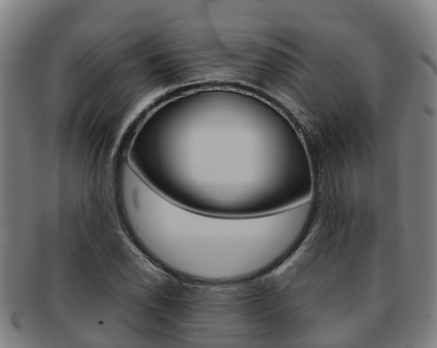 X0000092071118200709121020