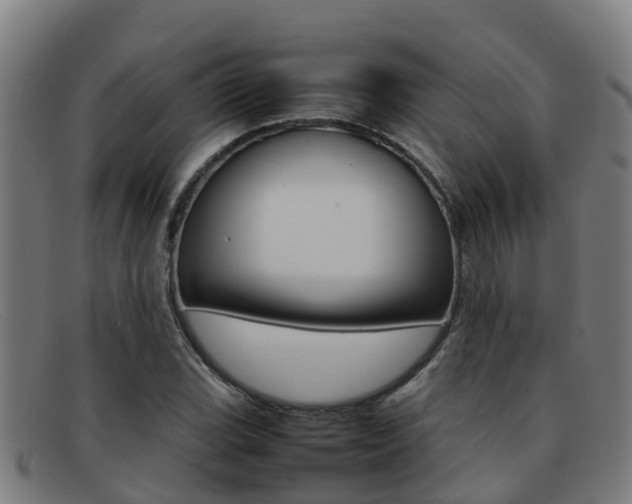 X0000092071119200709121020