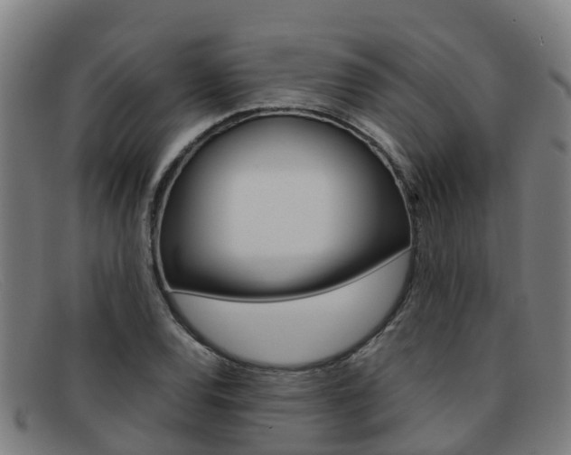 X0000092071120200709121020