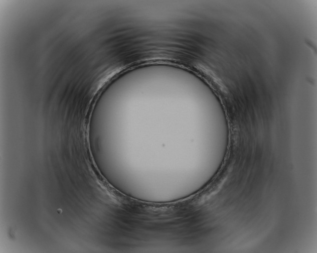 X0000092071121200709121020