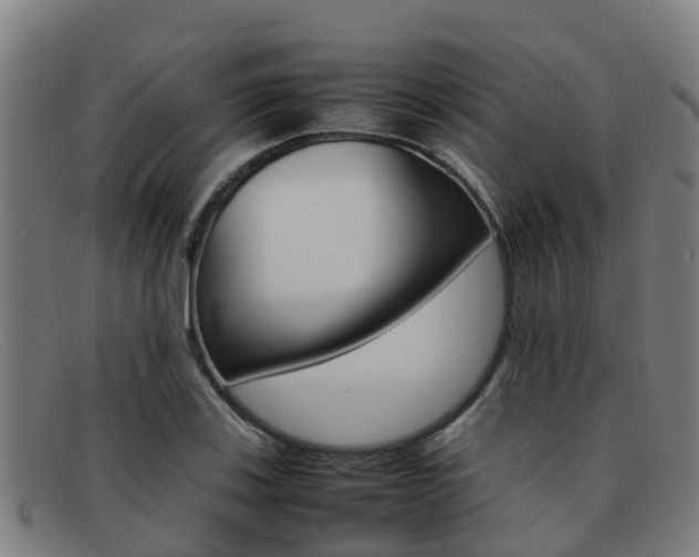 X0000092071123200709121020