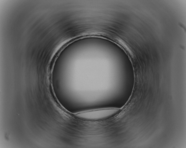 X0000092071124200709121020