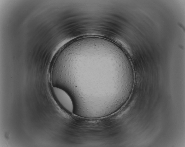 X0000092071125200709121020