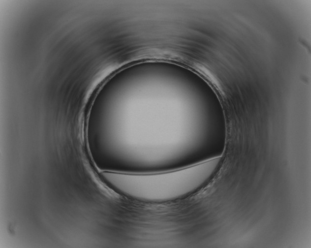 X0000092071128200709121020