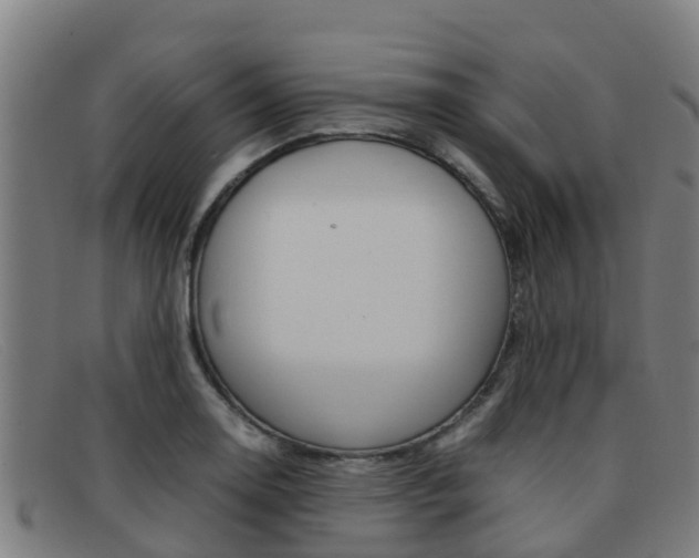 X0000092071130200709121020