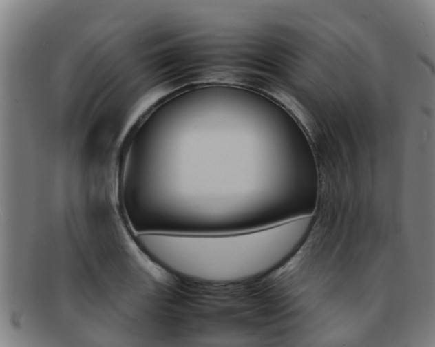 X0000092071131200709121020