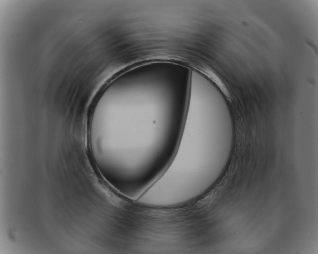 X0000092071132200709121020
