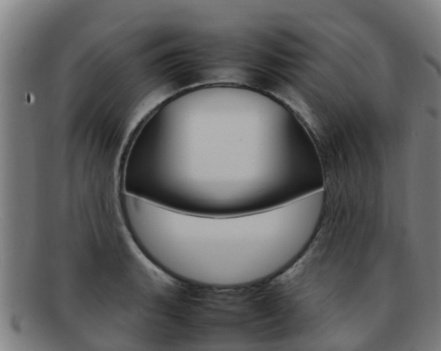 X0000092071135200709121020