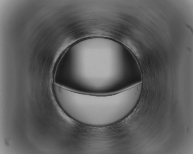 X0000092071136200709121020