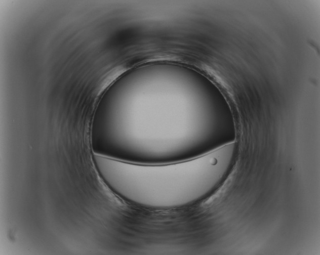X0000092071137200709121020