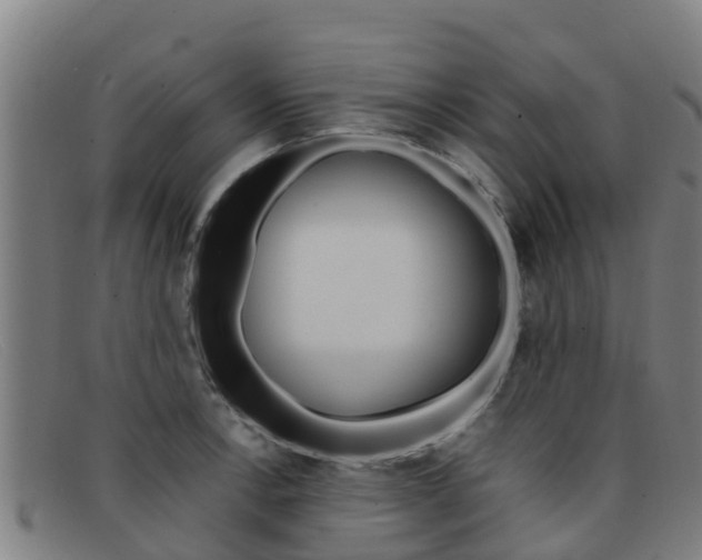 X0000092071138200709121021