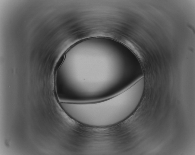 X0000092071140200709121021