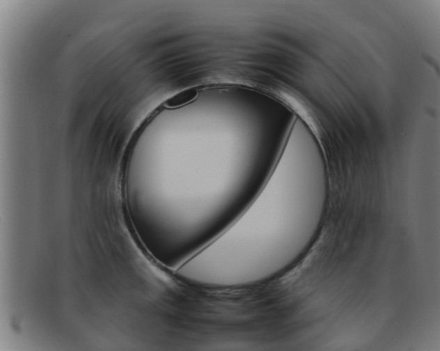 X0000092071141200709121021