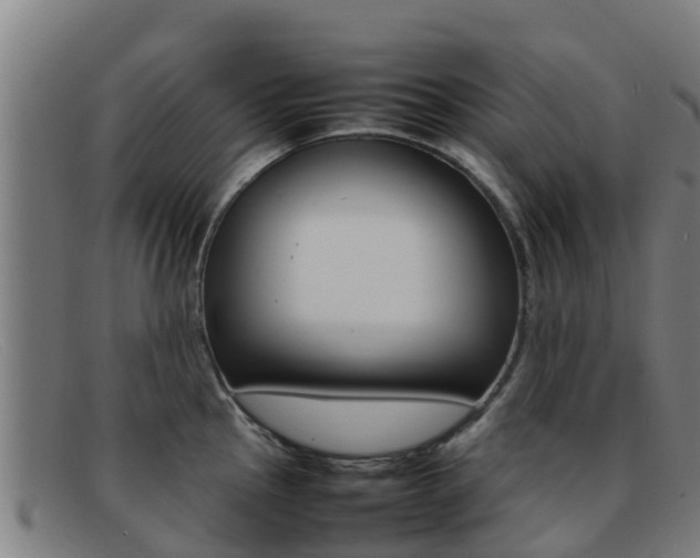 X0000092071145200709121021