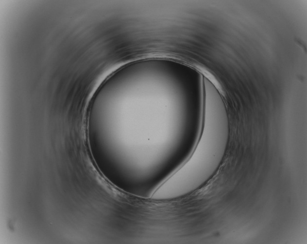 X0000092071148200709121021