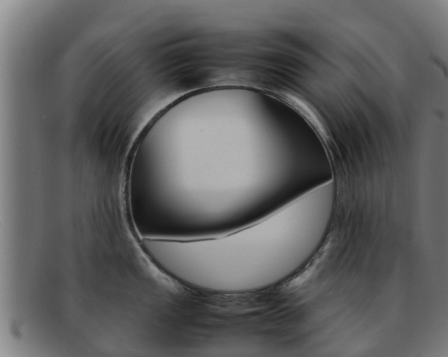 X0000092071149200709121021