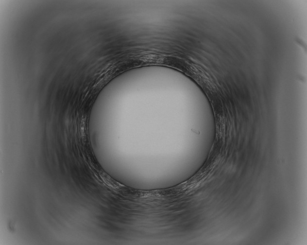 X0000092071154200709121020