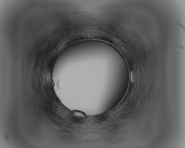 X0000092071155200709121020