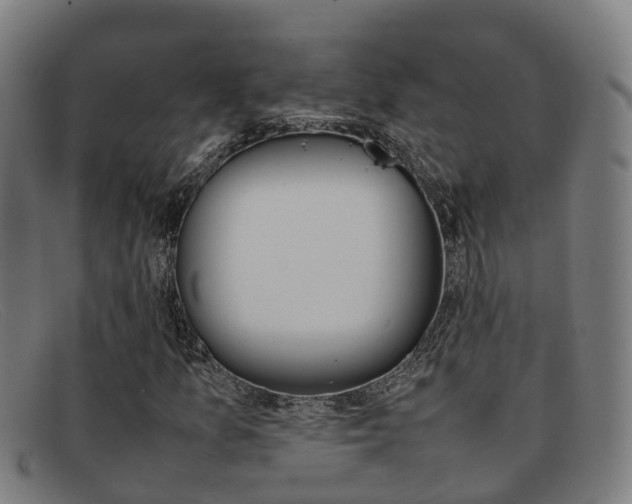 X0000092071157200709121020