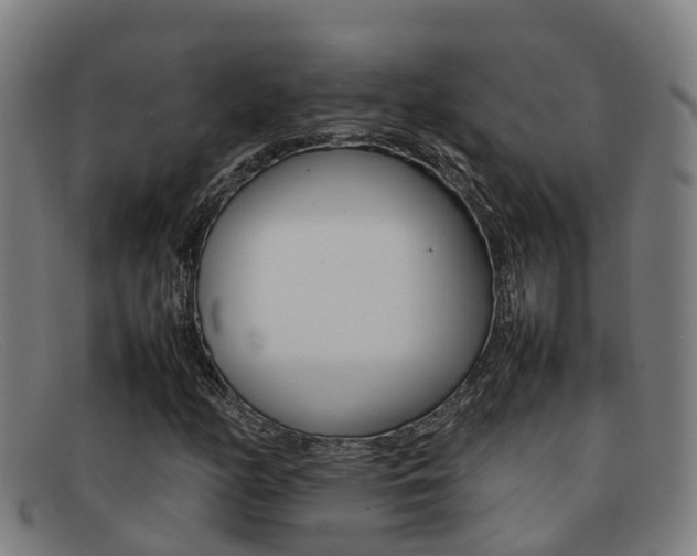 X0000092071158200709121020