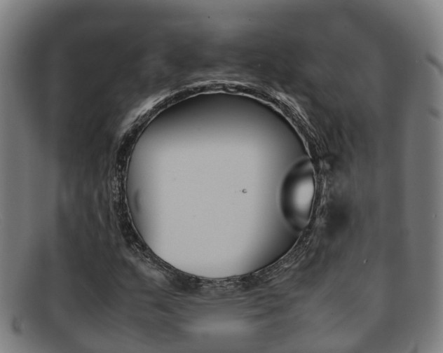 X0000092071159200709121020