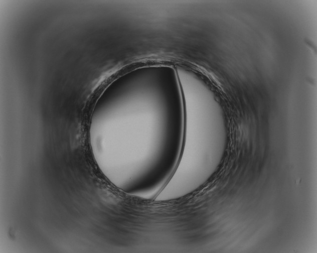 X0000092071160200709121020