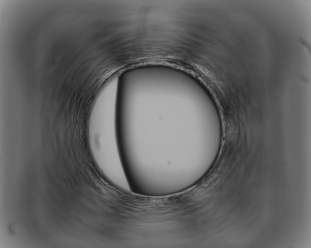 X0000092071161200709121020