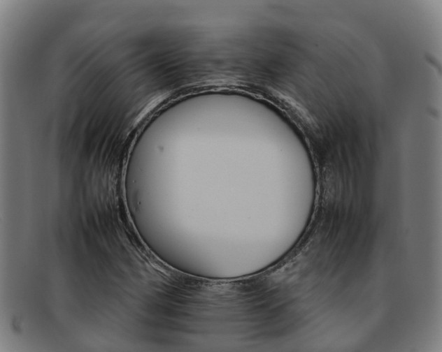 X0000092071162200709121020