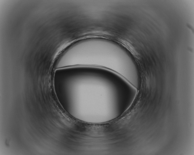 X0000092071164200709121020