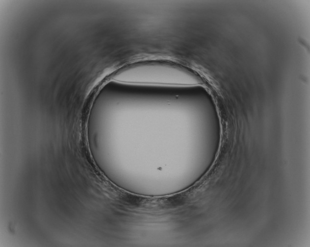 X0000092071165200709121020