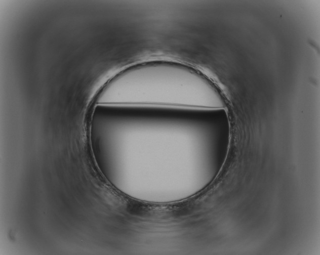 X0000092071167200709121020