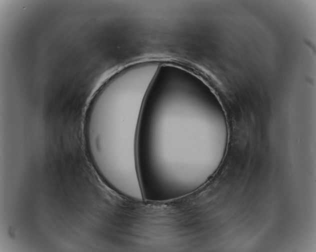 X0000092071168200709121020
