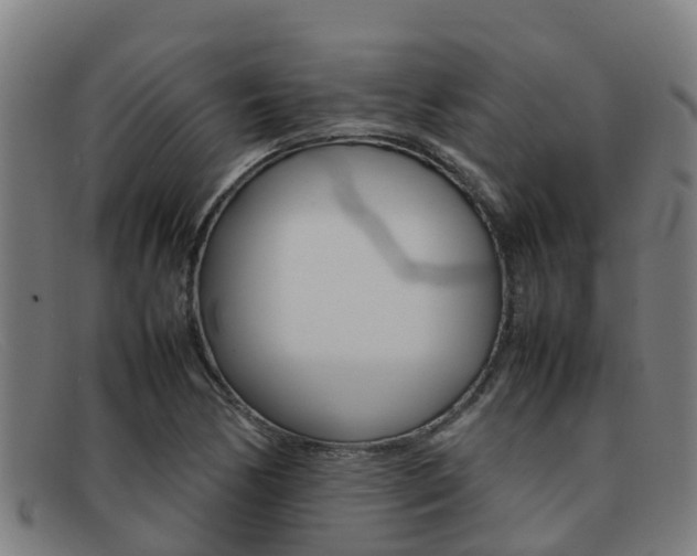 X0000092071170200709121020