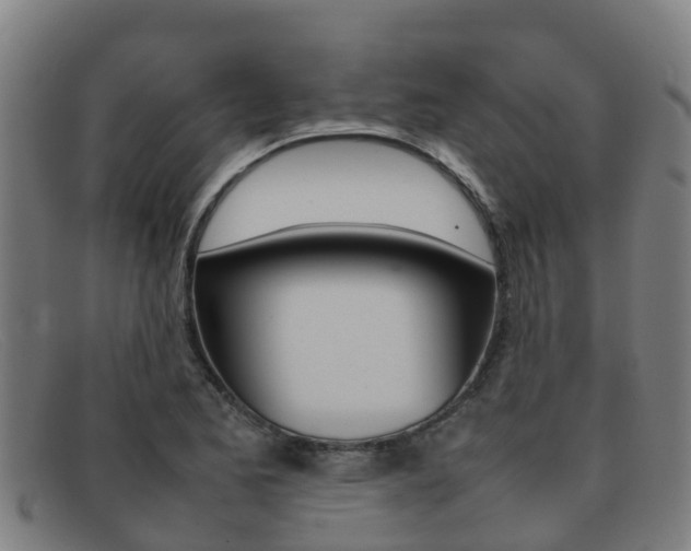 X0000092071173200709121020