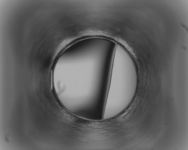 X0000092071175200709121020