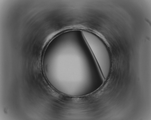 X0000092071176200709121020
