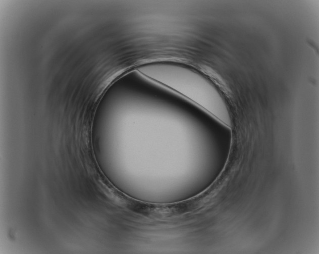 X0000092071177200709121020