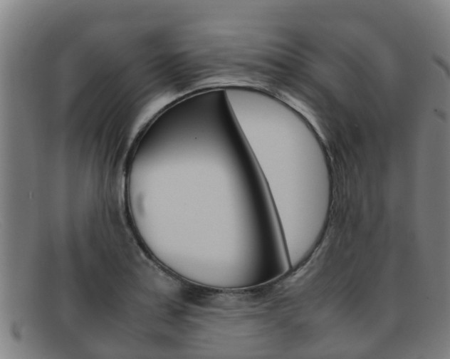 X0000092071179200709121020