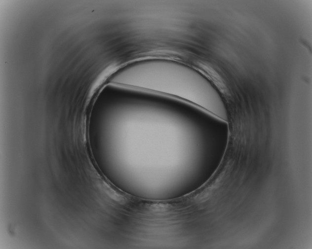 X0000092071180200709121020
