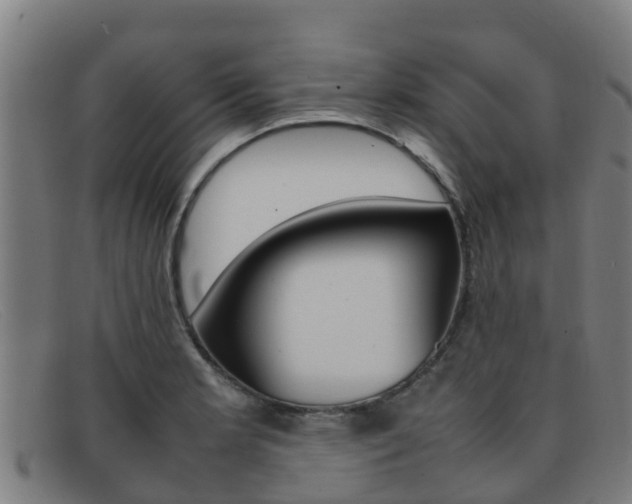 X0000092071181200709121020