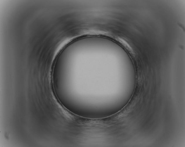 X0000092071183200709121020