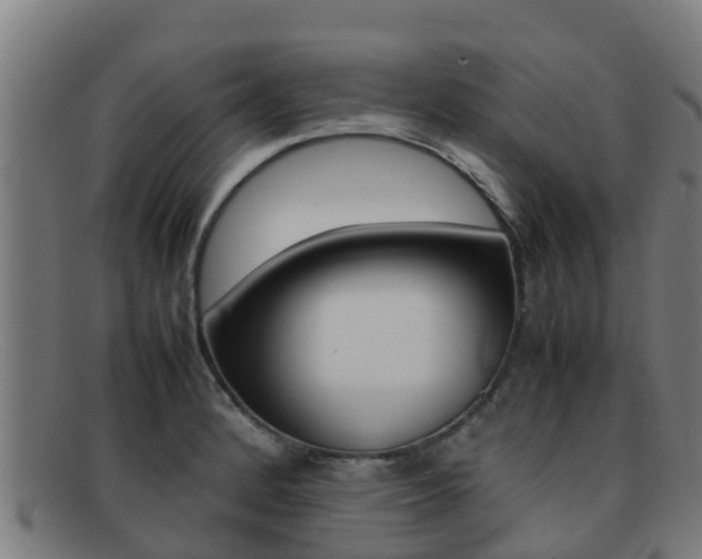 X0000092071184200709121020