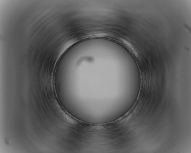 X0000092071186200709121020