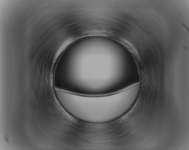 X0000092071188200709121020